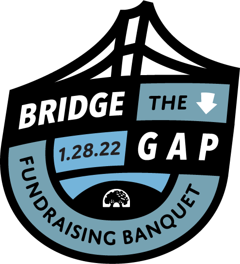 Bridge Gaplogo72
